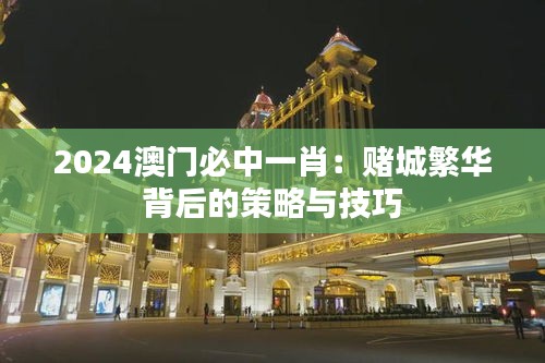 2024澳门必中一肖：赌城繁华背后的策略与技巧