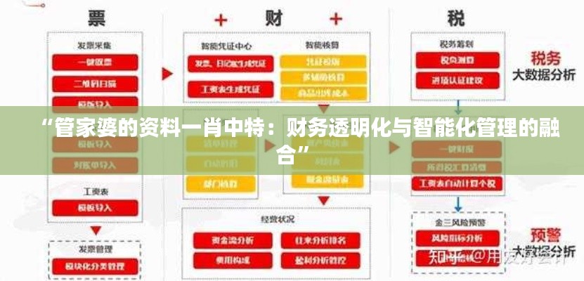 “管家婆的资料一肖中特：财务透明化与智能化管理的融合”