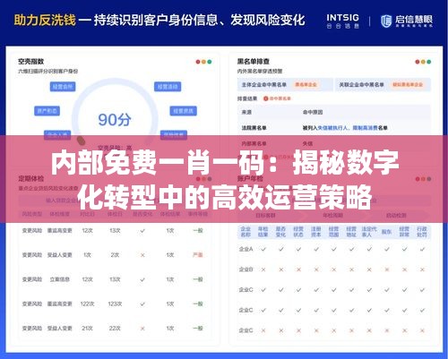 内部免费一肖一码：揭秘数字化转型中的高效运营策略