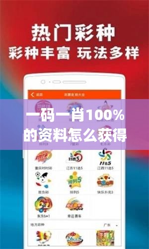 一码一肖100%的资料怎么获得,结构化评估推进_复刻版12.768