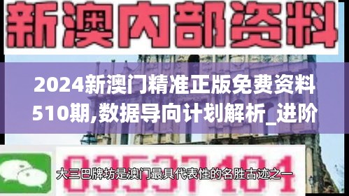 2024新澳门精准正版免费资料510期,数据导向计划解析_进阶版1.148