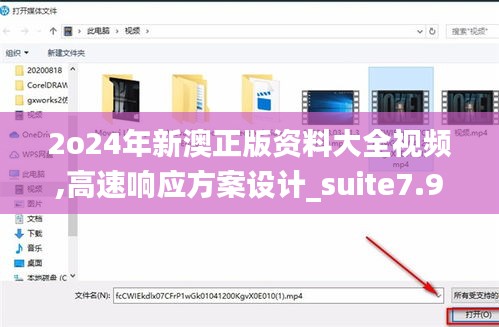 2o24年新澳正版资料大全视频,高速响应方案设计_suite7.925