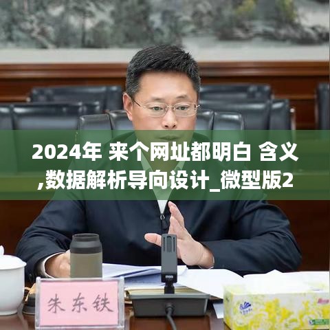 2024年 来个网址都明白 含义,数据解析导向设计_微型版2.605