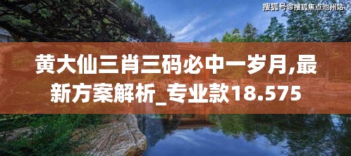 黄大仙三肖三码必中一岁月,最新方案解析_专业款18.575