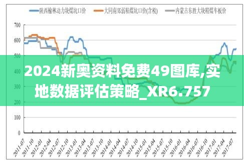 2024新奥资料免费49图库,实地数据评估策略_XR6.757