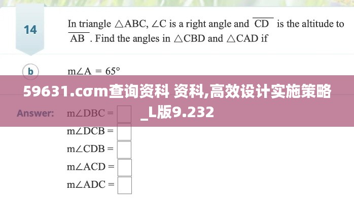 59631.cσm查询资科 资科,高效设计实施策略_L版9.232