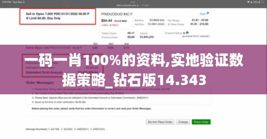 一码一肖100%的资料,实地验证数据策略_钻石版14.343