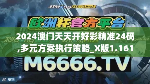 2024澳门天天开好彩精准24码,多元方案执行策略_X版1.161