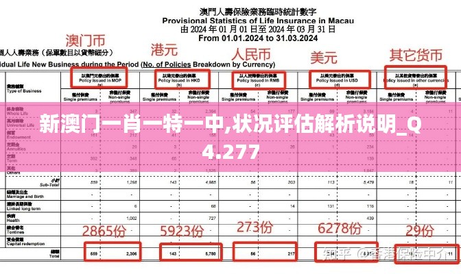 新澳门一肖一特一中,状况评估解析说明_Q4.277