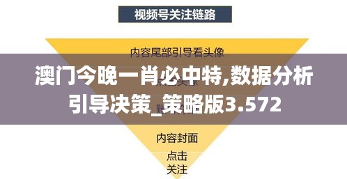 澳门今晚一肖必中特,数据分析引导决策_策略版3.572