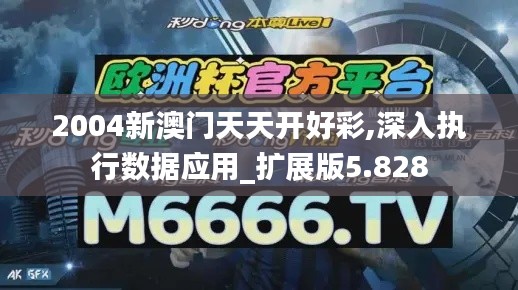 2004新澳门天天开好彩,深入执行数据应用_扩展版5.828