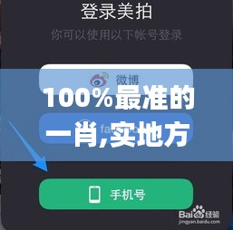 100%最准的一肖,实地方案验证策略_ios8.788