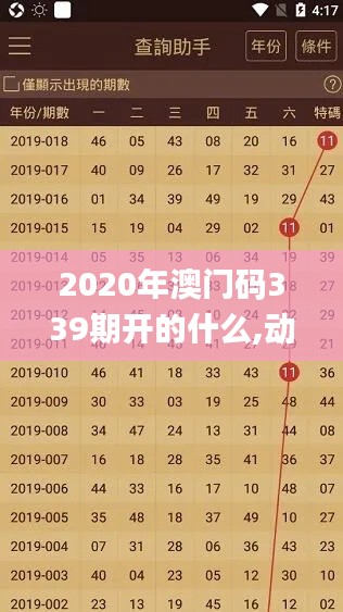 2020年澳门码339期开的什么,动态解析词汇_7DM7.700