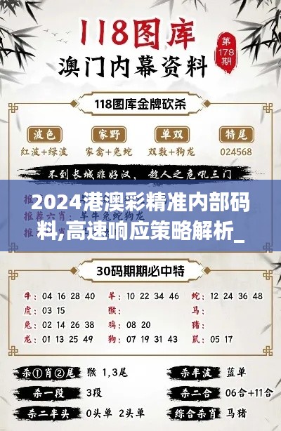 2024港澳彩精准内部码料,高速响应策略解析_战斗版3.264