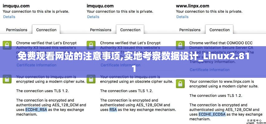 免费观看网站的注意事项,实地考察数据设计_Linux2.811