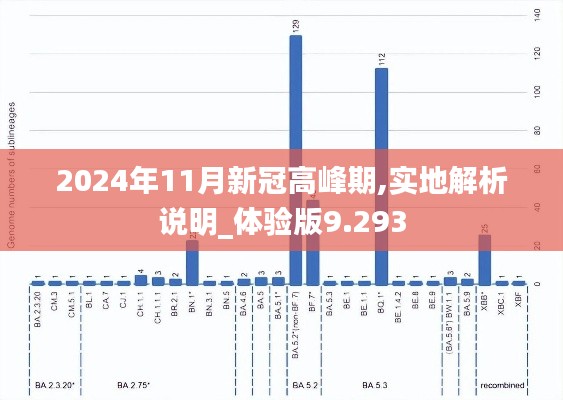 2024年11月新冠高峰期,实地解析说明_体验版9.293