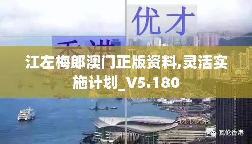 江左梅郎澳门正版资料,灵活实施计划_V5.180