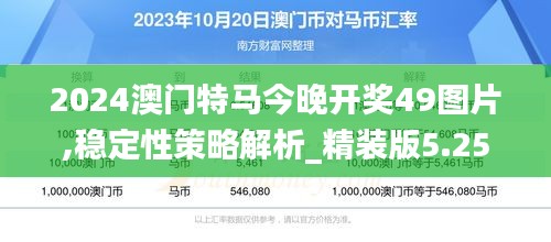 2024澳门特马今晚开奖49图片,稳定性策略解析_精装版5.251