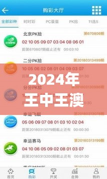 2024年王中王澳门免费大全,数据支持计划设计_PT2.470