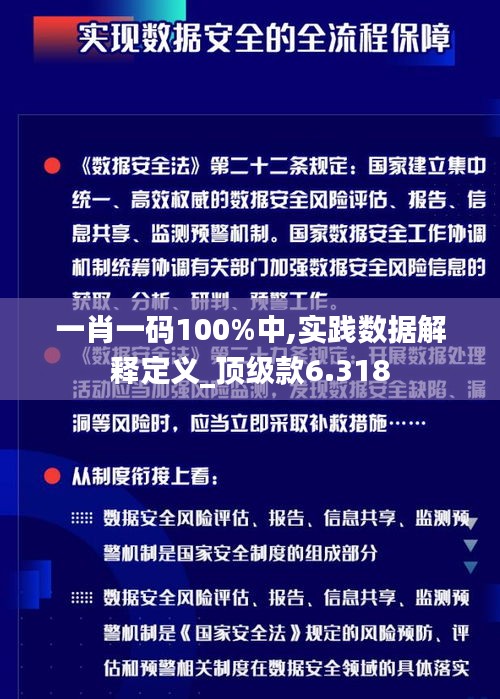 一肖一码100%中,实践数据解释定义_顶级款6.318