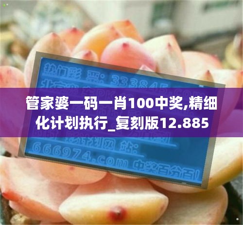 管家婆一码一肖100中奖,精细化计划执行_复刻版12.885