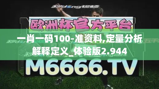 一肖一码100-准资料,定量分析解释定义_体验版2.944