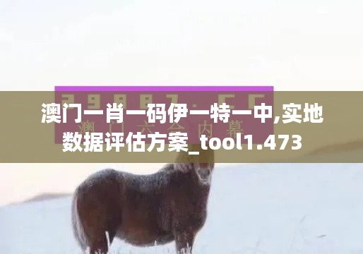 澳门一肖一码伊一特一中,实地数据评估方案_tool1.473