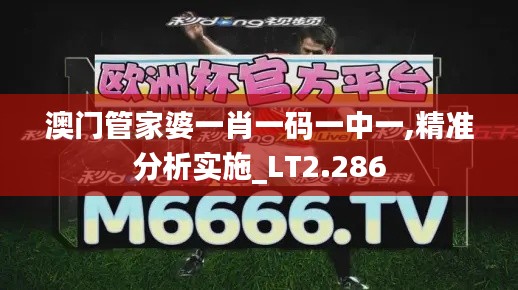 澳门管家婆一肖一码一中一,精准分析实施_LT2.286