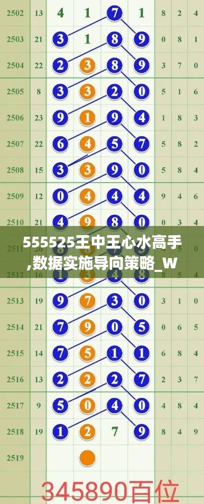 555525王中王心水高手,数据实施导向策略_WP版4.246