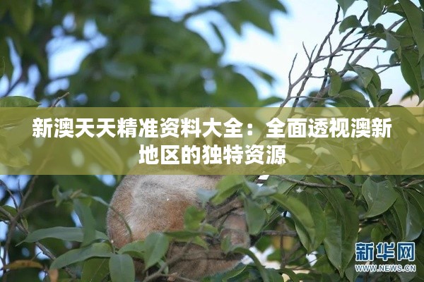 新澳天天精准资料大全：全面透视澳新地区的独特资源