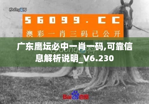 广东鹰坛必中一肖一码,可靠信息解析说明_V6.230