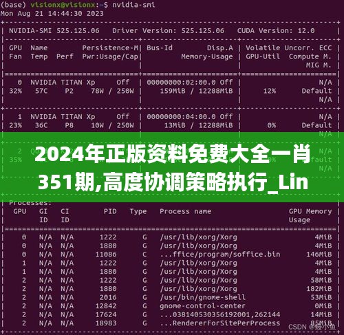 2024年正版资料免费大全一肖351期,高度协调策略执行_Linux4.688