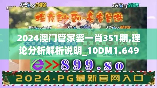 2024澳门管家婆一肖351期,理论分析解析说明_10DM1.649