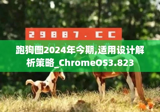 跑狗图2024年今期,适用设计解析策略_ChromeOS3.823