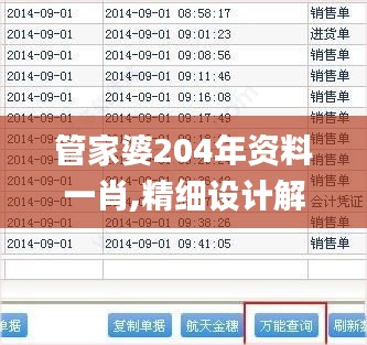 管家婆204年资料一肖,精细设计解析策略_V版8.995