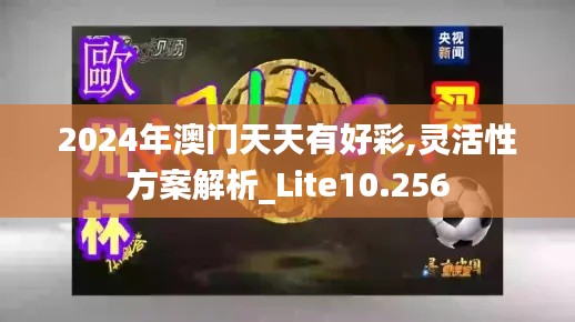 2024年澳门天天有好彩,灵活性方案解析_Lite10.256