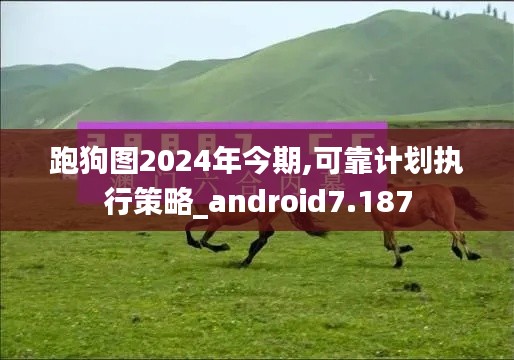 跑狗图2024年今期,可靠计划执行策略_android7.187