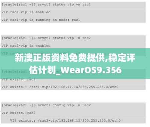 新澳正版资料免费提供,稳定评估计划_WearOS9.356