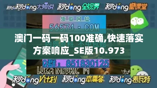 澳门一码一码100准确,快速落实方案响应_SE版10.973