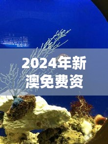 2024年新澳免费资料大全：深入了解新大陆的最新趋势与动态