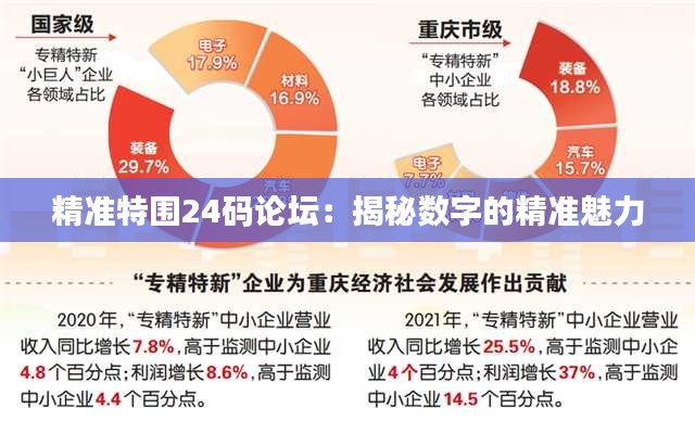 精准特围24码论坛：揭秘数字的精准魅力