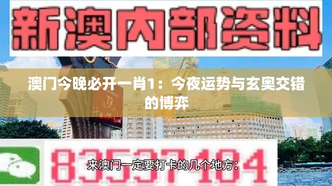 澳门今晚必开一肖1：今夜运势与玄奥交错的博弈