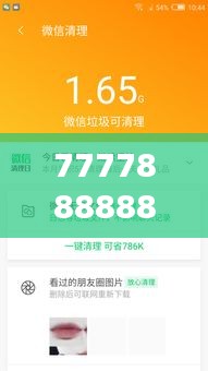 7777888888管家精准管家婆免费353期：一站式家庭财务管理